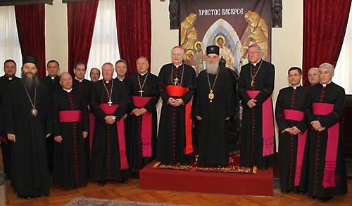 Патриарх Сербский принял папского нунция и католического архиепископа